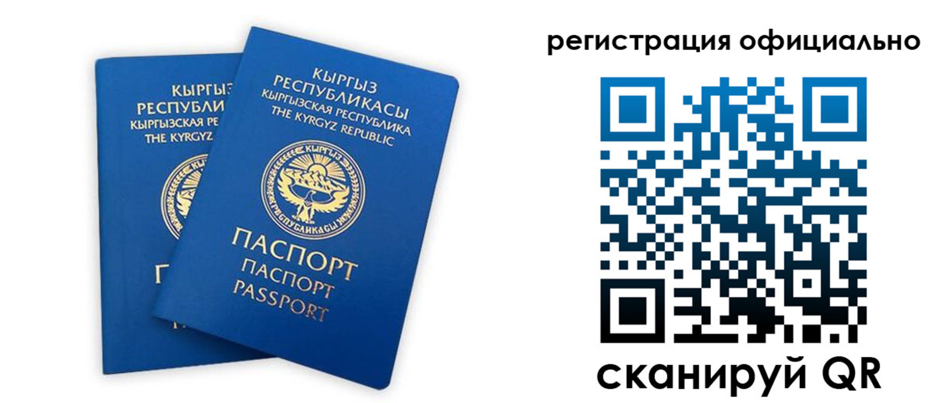 прописка поиск в Челябинской области